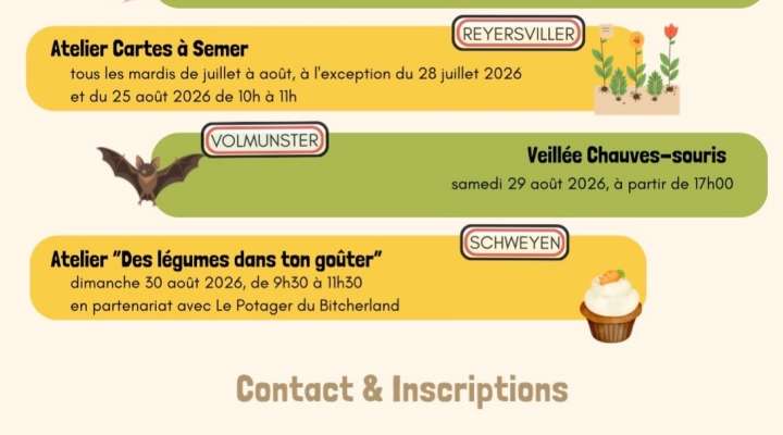 Ateliers été 2026 association Les Chabots