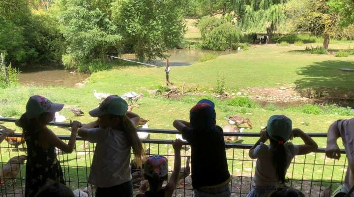 Découverte de la ferme à Guébling