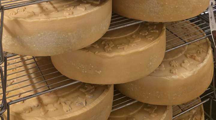 Fromagerie de l'Abbaye de Vergaville