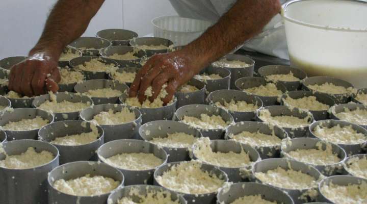 Fromagerie de l'Abbaye de Vergaville