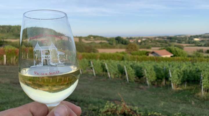 Domaine Dietrich Girardot