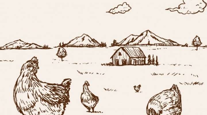 Lid'fleurs - Jacques Canteneur