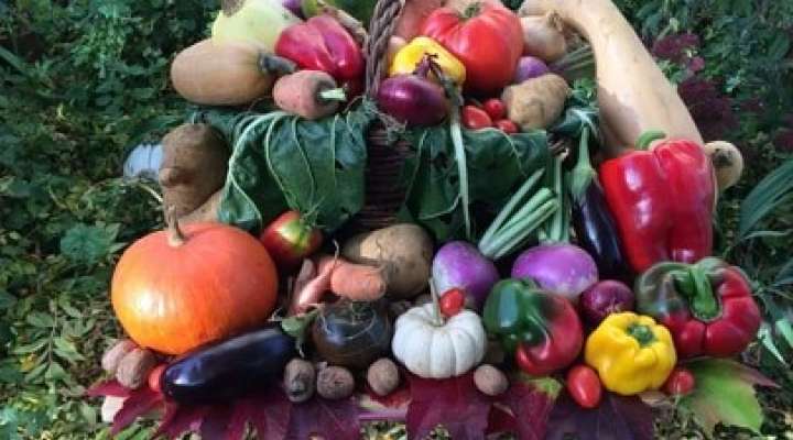 Exploitation agricole Sylvie Bourguignon