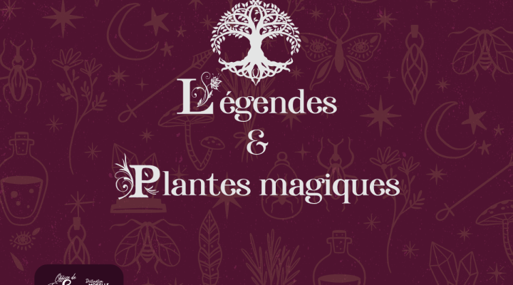 Légendes et plantes magiques