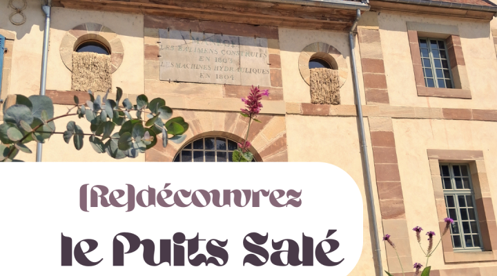 Journées Européennes du Patrimoine - Visite commentée des Salines Royales