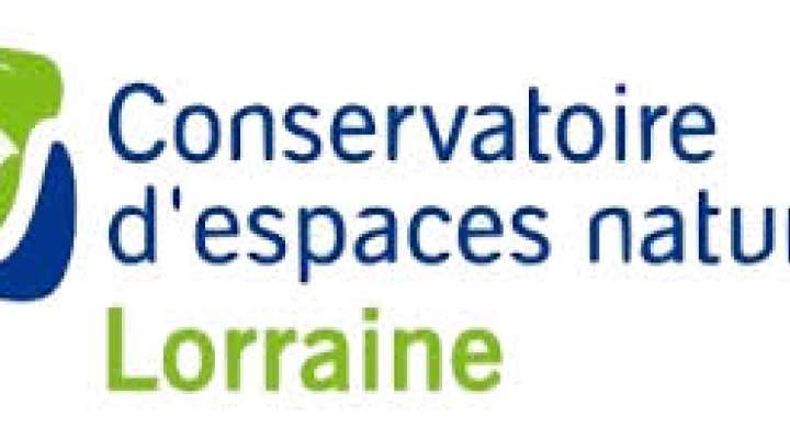 À la découverte des oiseaux