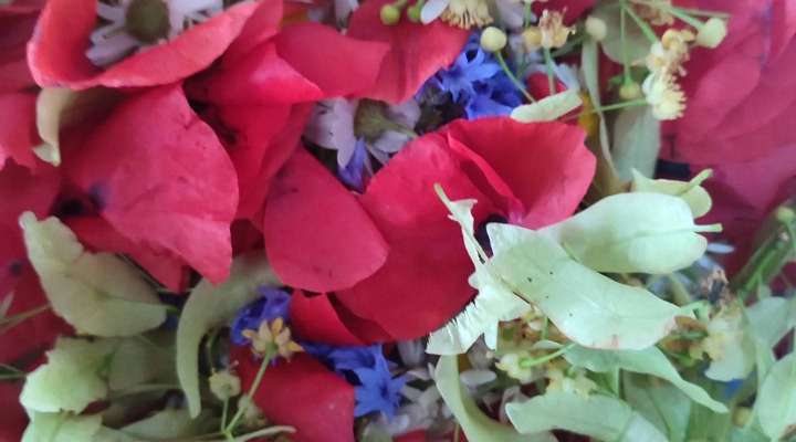 L'herboristerie des abbayes - Salival