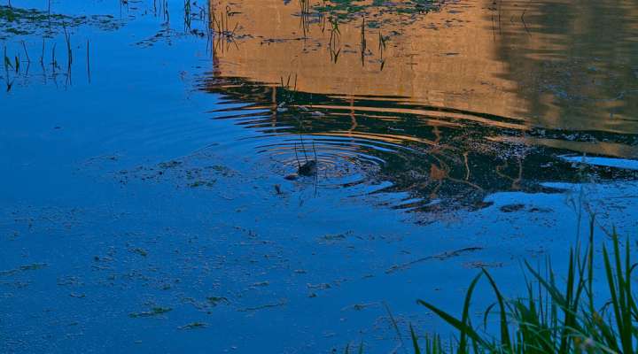 Voie verte du pays de Pange