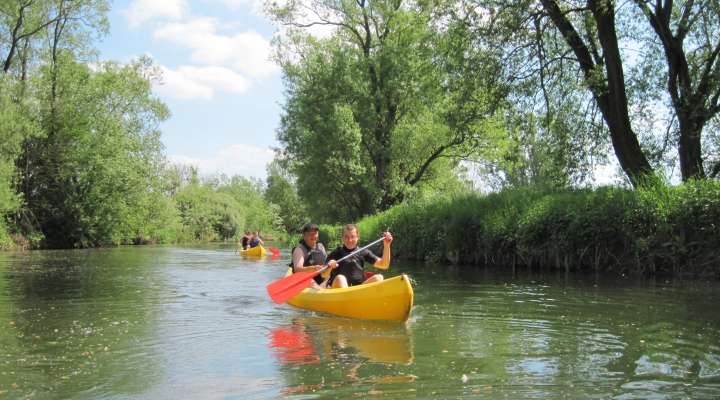 Paysages sauvages de la Nied en kayak de Freistroff à Bouzonvillle