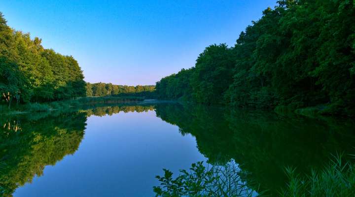 Oderfang - Porcelette - Creutzwald