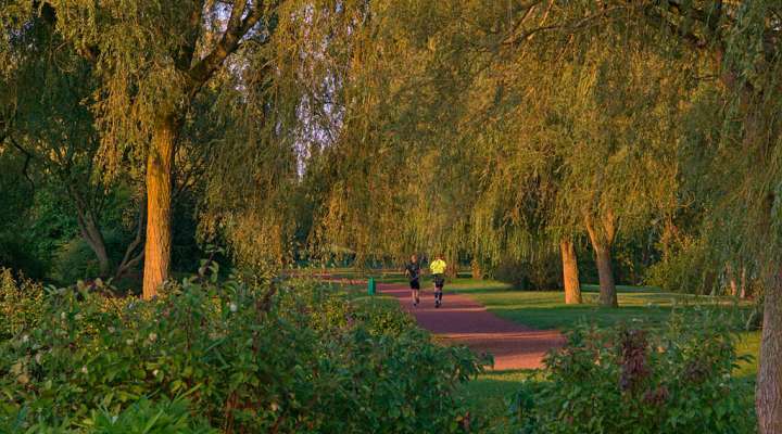 Circuit de la zone de loisirs