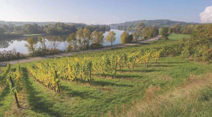 Route des vins de Moselle - Pays Messin