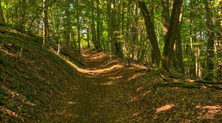 GR501 de Rombas à Plappeville