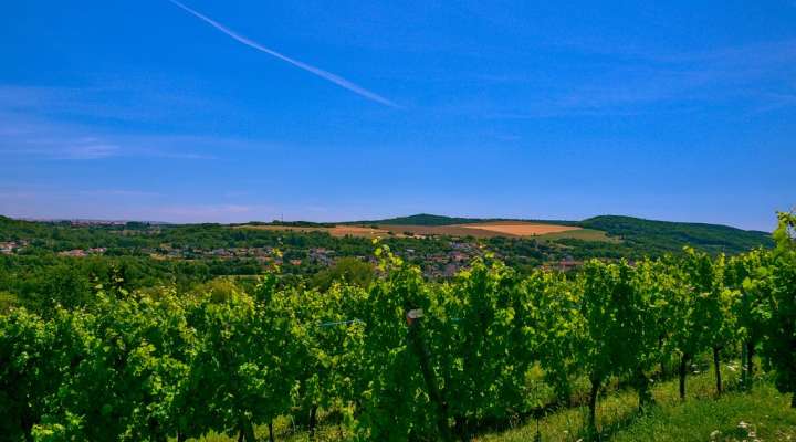 La vallée de la Moselle