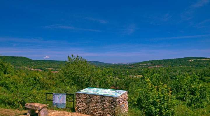 La vallée de la Moselle