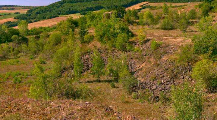 La vallée de la Moselle
