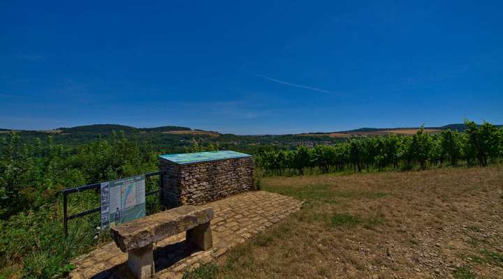 Les côtes de Moselle