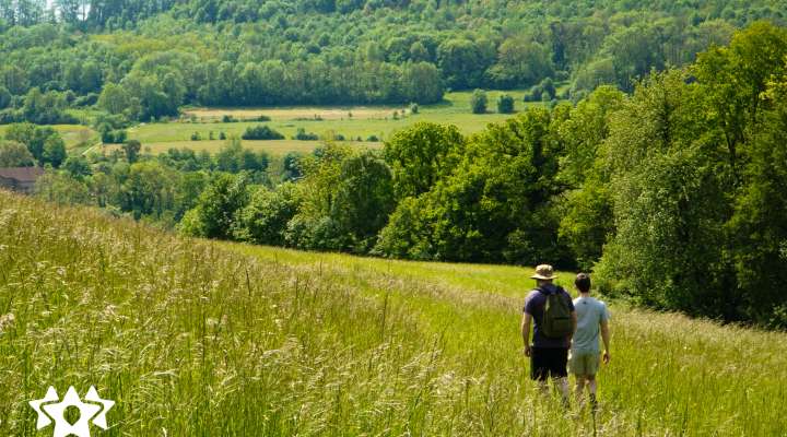 Circuit du Hammelsberg