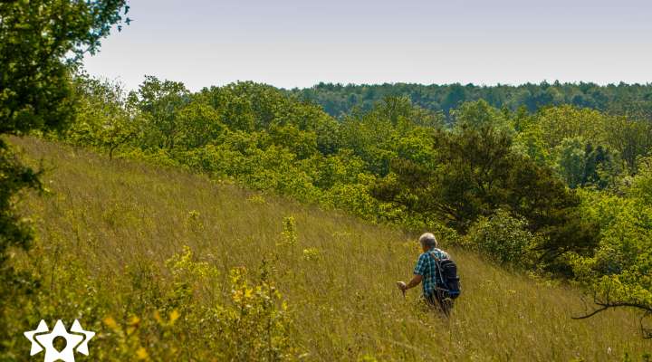 Circuit du Hammelsberg