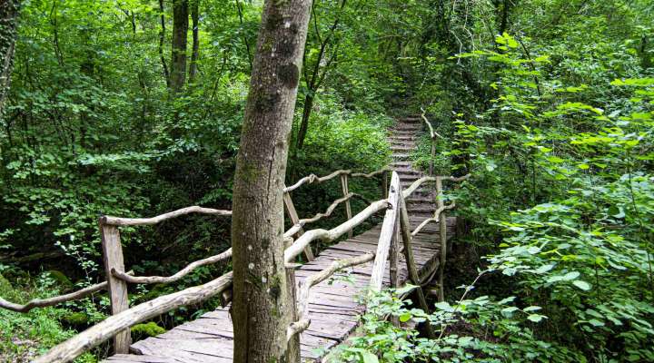 Circuit des collines