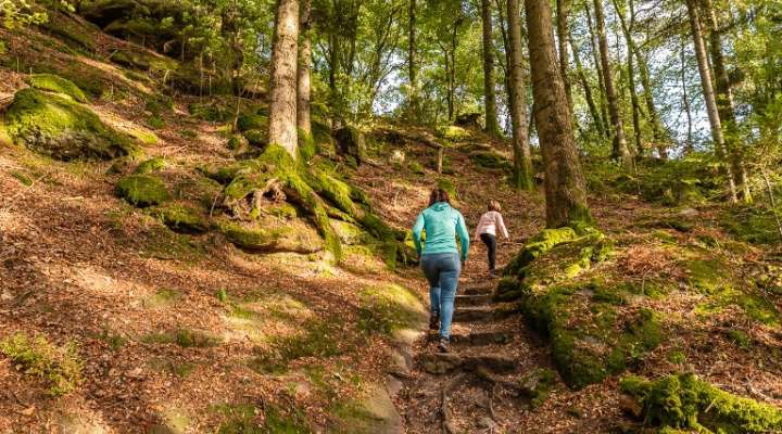 Circuit de la borne Saint-Martin