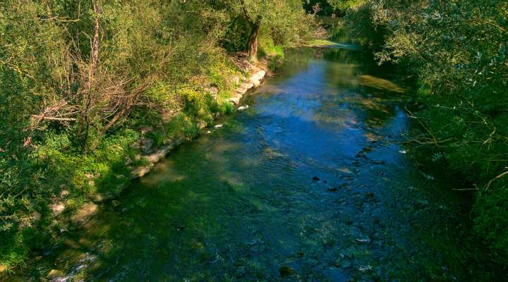 D'une nied à l'autre