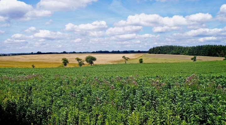 SENTIER MINIER