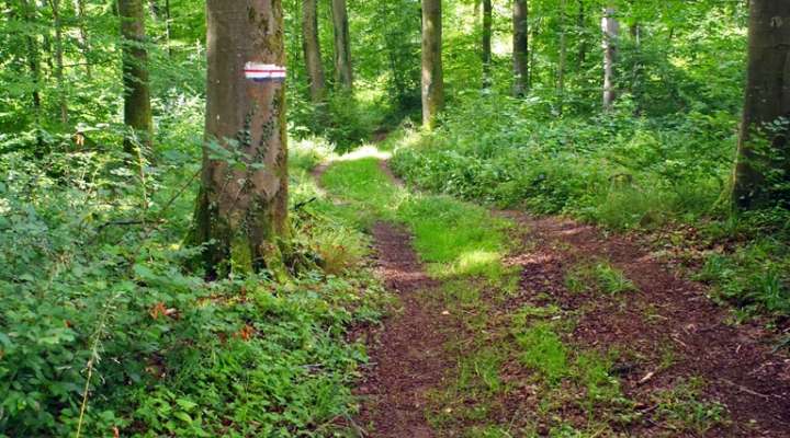 Circuit autour du kayl