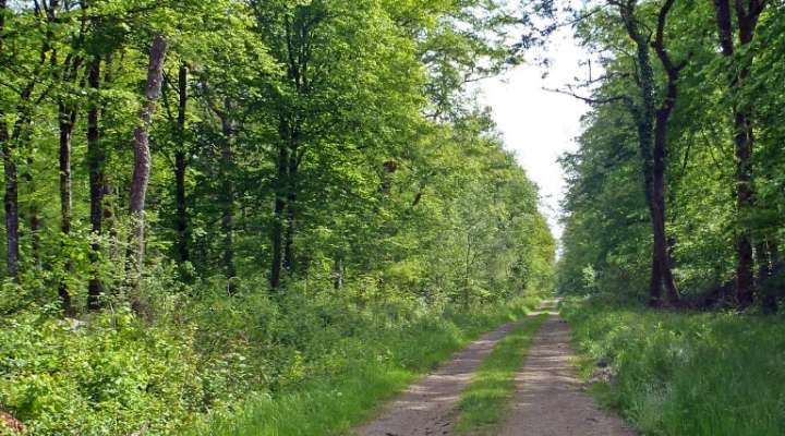 Circuit du parc éolien