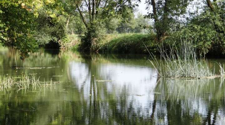 Circuit Nied sans frontière