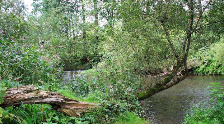 Paysages de la Blies