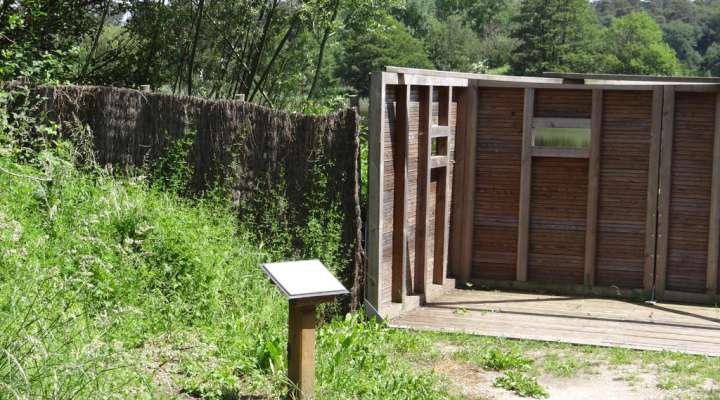 Les marais du Warndt