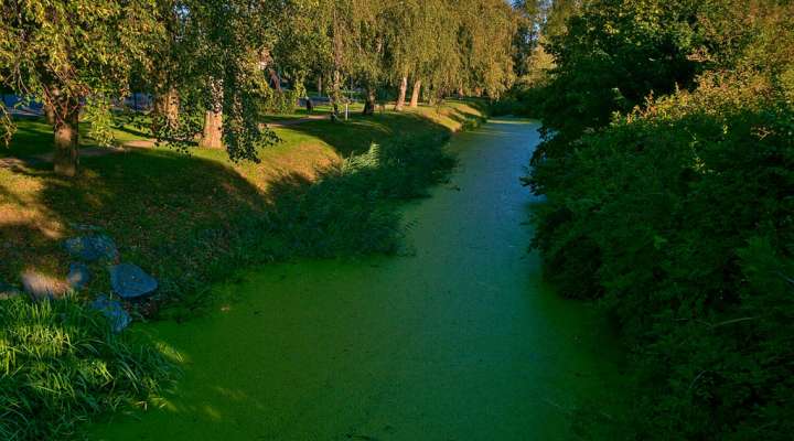 RANDONNÉE DE SEL ET D'EAU