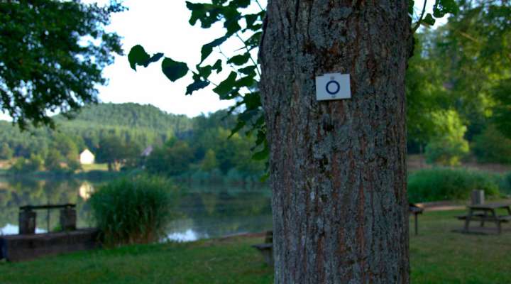 Autour du château de Ramstein