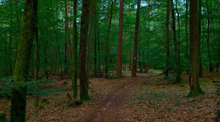 Boucle des châteaux à cheval