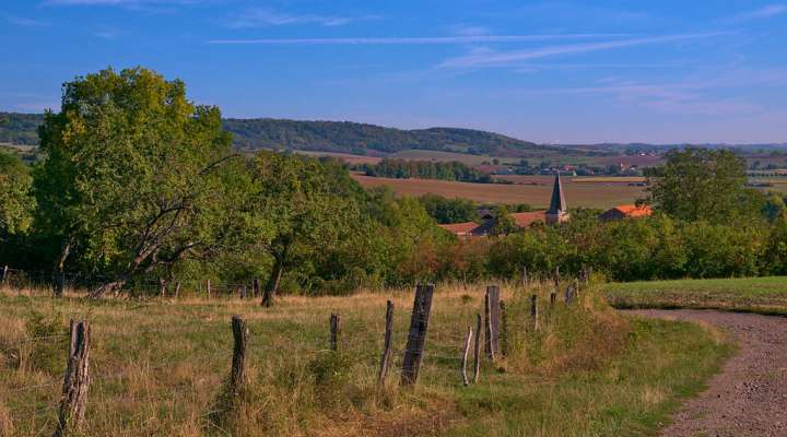 Entre vergers et forêts