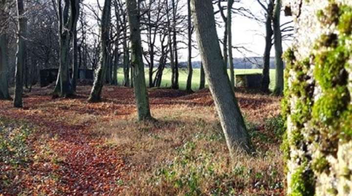 Route de la ligne Maginot aquatique