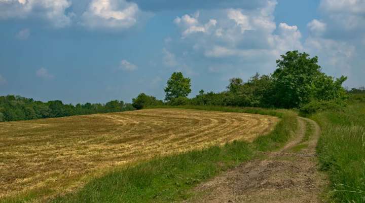 La haute vallée de la Canner