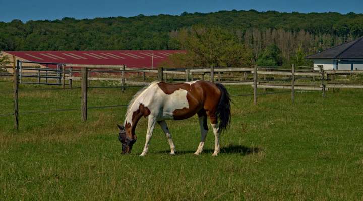 Autour des mardelles