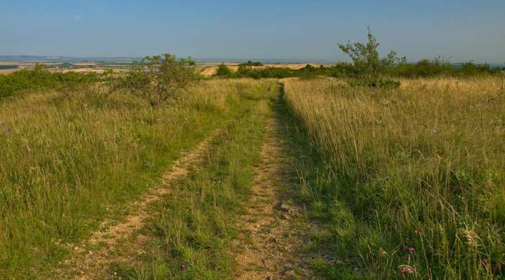 Les sources de l'Elme