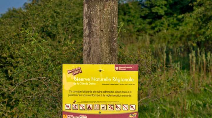 Les sources de l'Elme
