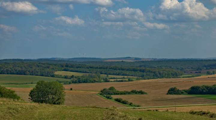 Le chemin du feugnot