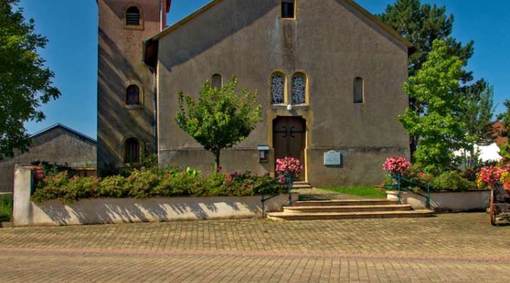 Autour du haut des mays