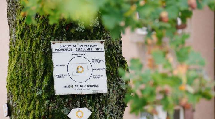 Sur les traces des Spiritains