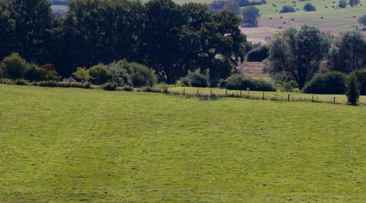 Le Chemin des Fruitiers