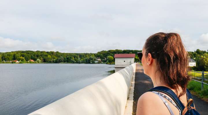 Le Chêne et le Roseau