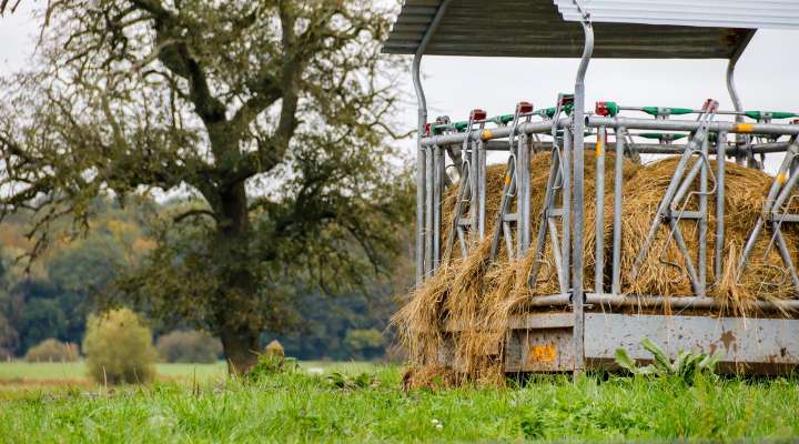 De la Ferme aux Pâturages