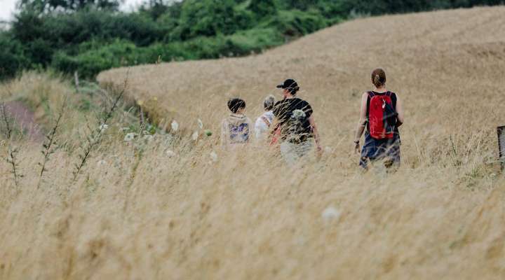 Du Green à la Forêt