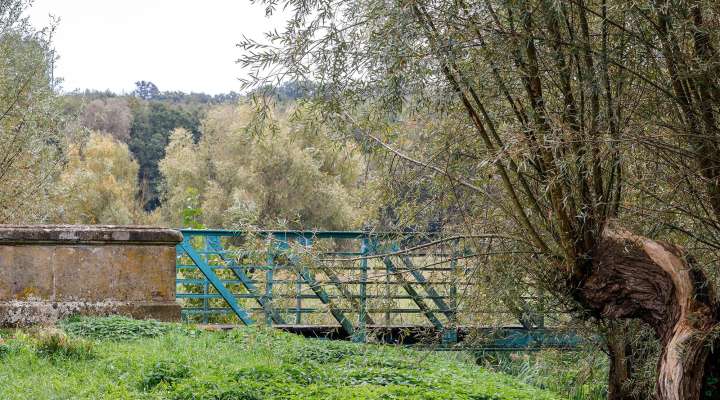 Colchiques et Marais