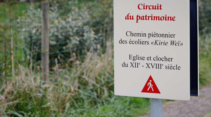 Colchiques et Marais